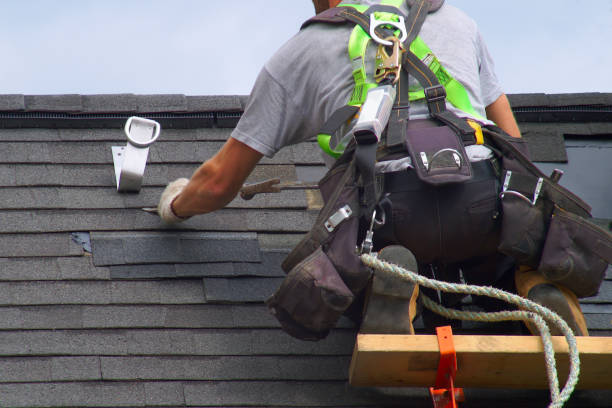 Best Roof Moss and Algae Removal  in Vaeboro, NC